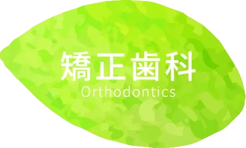 矯正歯科